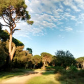 parco di san rossore (10)