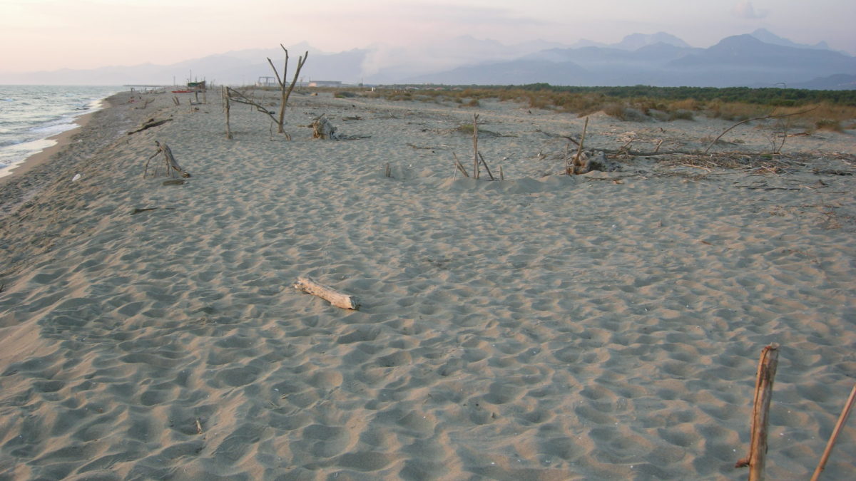Spiaggia della Lecciona - Toscana Film Commission
