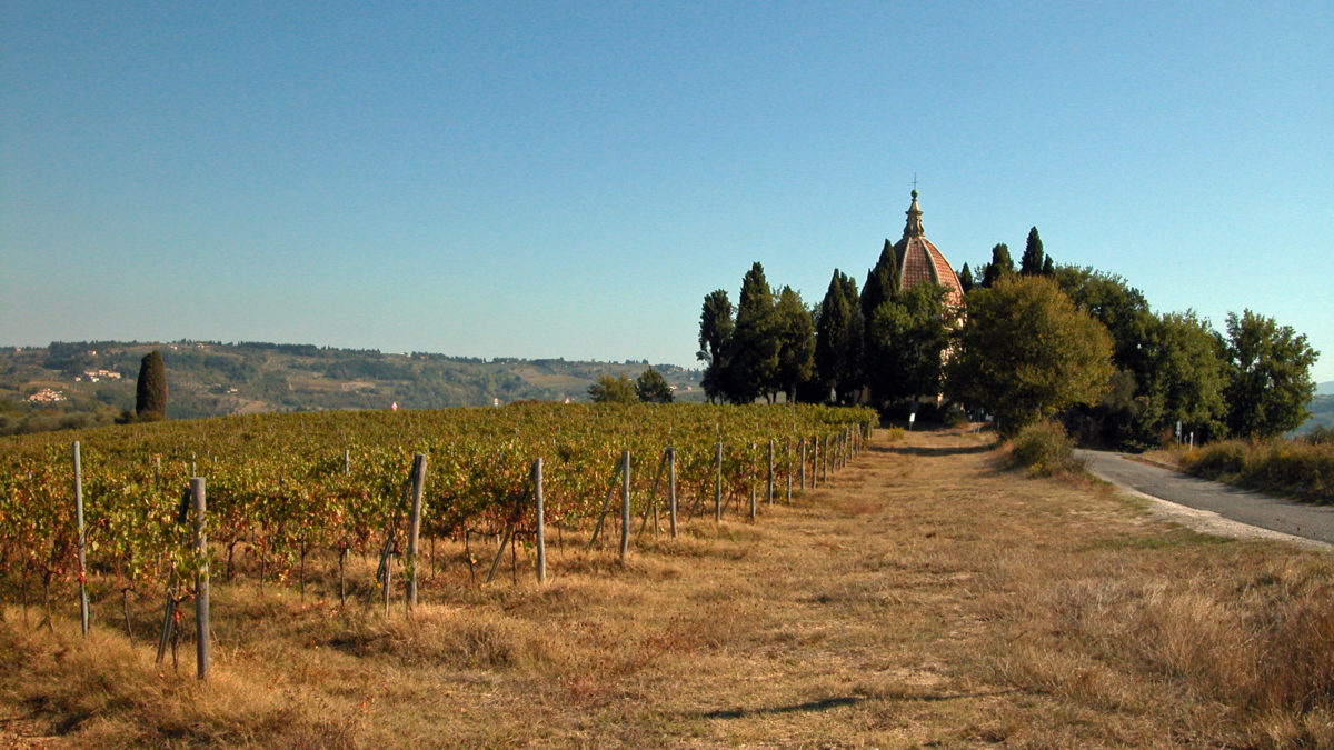 Risultati immagini per cupola di san michele petrognano semifonte