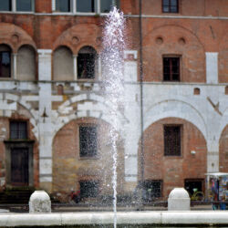 CC by-nc-sa_Roberto Giomi