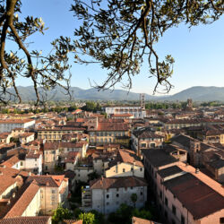 CC by-nc-sa_Roberto Giomi