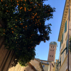 CC by-nc-sa_Roberto Giomi