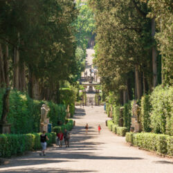 Regione Toscana