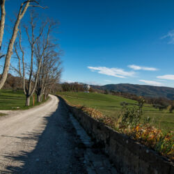 ©Regione Toscana_Stefano Casati