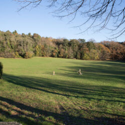 ©Regione Toscana_Stefano Casati