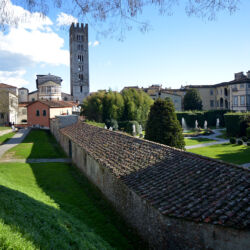 CC by-nc-sa_Roberto Giomi