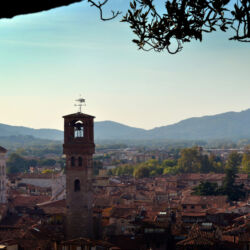 CC by-nc-sa_Roberto Giomi