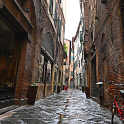 CC by-nc-sa_Roberto Giomi