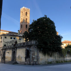 CC by-nc-sa_Roberto Giomi