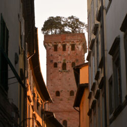 CC by-nc-sa_Roberto Giomi