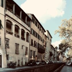 CC by-nc-sa_Roberto Giomi