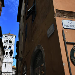 CC by-nc-sa_Roberto Giomi