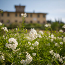 ©Regione Toscana_Stefano Casati