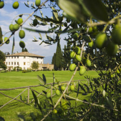 Italy-Toscana (Tuscany)-Vicchio / Villa Campestri hotel and restaurant.Oil producer.