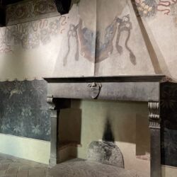 ©TFC_Sala carolingia