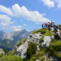 Toscana Ovunque Bella / Andrea Ribollini