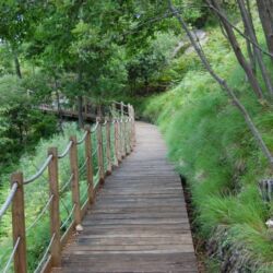 Toscana Ovunque Bella / R. Puccini