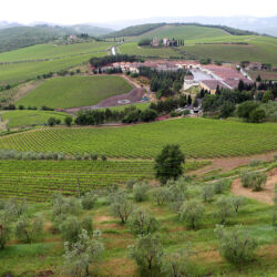 ©Castello di Brolio