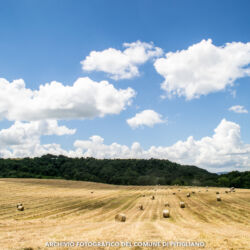 ©Archivio fotografico Comune di Pitigliano