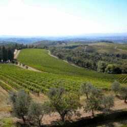 ©Castello di Brolio