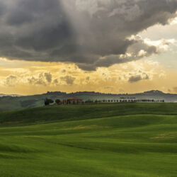 flick.com/andrea scagliola