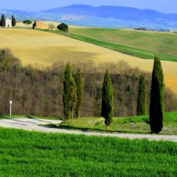 flick.com/Fabio Foni