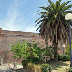 flickr.com/Allie Caulfield