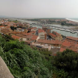 flickr.com/ martinus