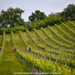 ©Archivio fotografico Comune di Pitigliano