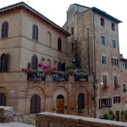 flickr.com/Tamara Polajnar