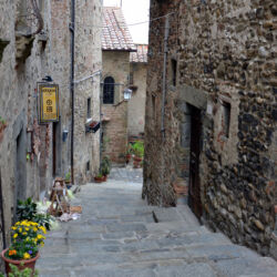 flickr.com/andrea minori