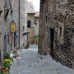 flickr.com/andrea minori