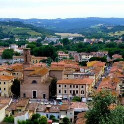 flickr.com/number1tenor