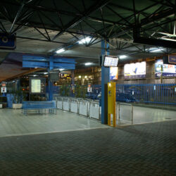 SONY DSC