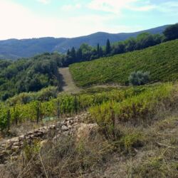 Toscana Ovunque Bella