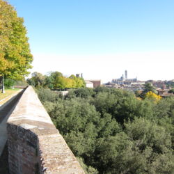 flickr.com/bellaeatsbooks