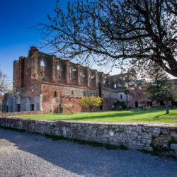 Gothic Cistercian style of Abbey of San Galgano province of Siena, Chiusdino, Tuscany, Italy