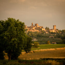 Ufficio Promozione Turistica e cultura_Comune di Lucignano