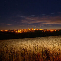 Ufficio Promozione Turistica e cultura_Comune di Lucignano