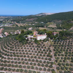 Castello di Magona