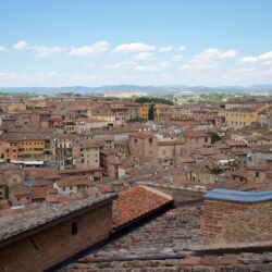 Flickr.com/Michael Tracy