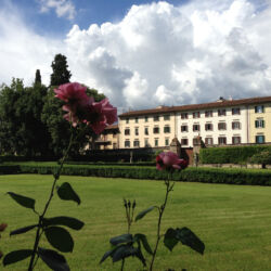 flickr.com/Hari Seldon