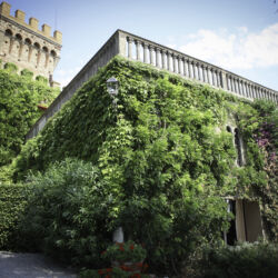 Castello di Magona
