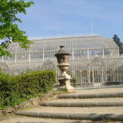 flickr.com/melograno19