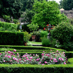 flickr.com/larry lamsa