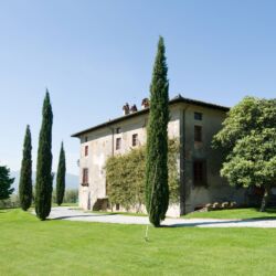 Italie, Lucca, 20080506.
Fattoria Mansi Bernardini in Segromigno in Monte.
landgoed met olijfboomgaard
Villa Buonvisi