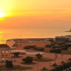 ©Acquario Livorno