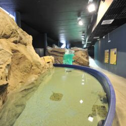 ©Acquario Livorno