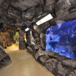 ©Acquario Livorno