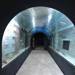 ©Acquario Livorno